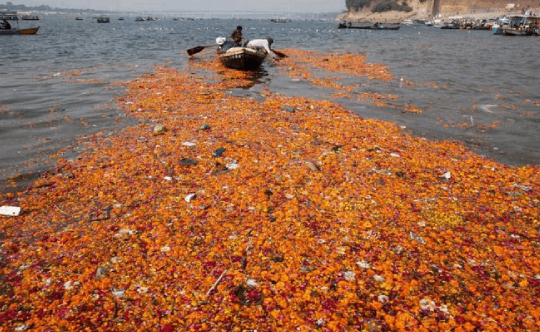 Blossoms of Palaash: The Battle against Water Pollution - Six Yard Story